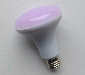 AMPOULE LED R80 ROSE