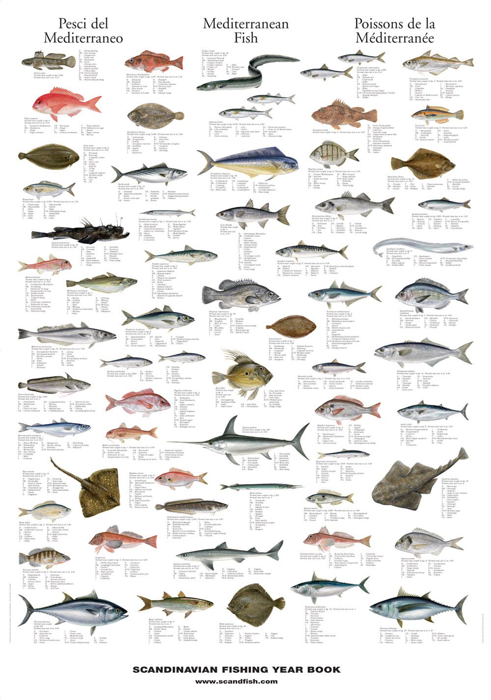 d905662706c1e77856a6f418d9546ed6